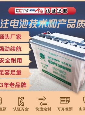 M-220型铅酸蓄电池12V95yAh加液动力电池电动三轮车拉货车地摊车