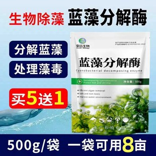 蓝藻分解酶池塘清除蓝藻水产养殖虾蟹鱼塘生物清除剂去蓝藻净水