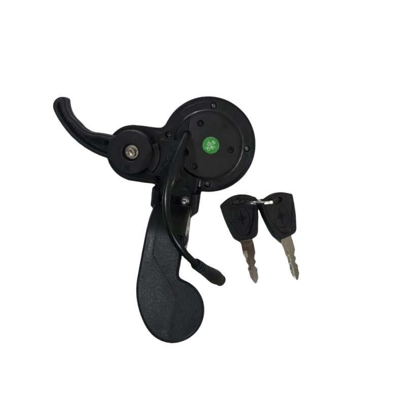 带钥匙指钩仪表 ZQ-100电动滑板车仪表加L速器可调节里程速度6芯