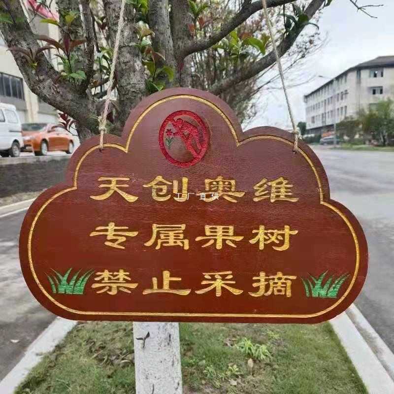 批发公园实木树木名称标识木牌植树节植物介绍挂牌树木认养牌树牌