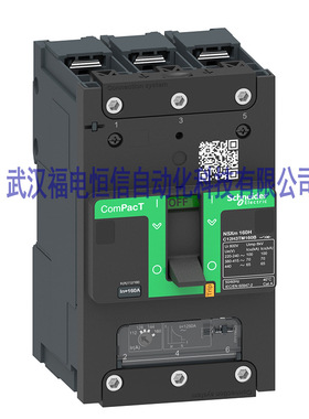 C25F6TM250施奈德NSX固定式新塑壳断路器NSX250F4P3D 250ATMD现货