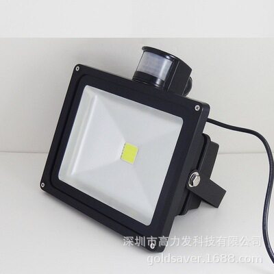 12v24v36v48v人体感应灯led投光灯围墙庭院隧道灯10w 20w 30w50w