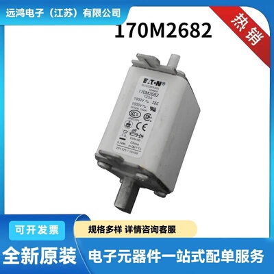 170M7666 170M7671 170M7676 170M7978原盒陶瓷熔断器 保险丝