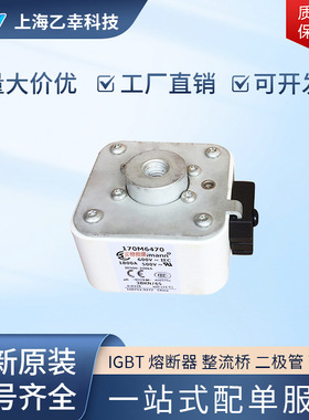 巴斯曼熔断器  170M6482 170M6483 170M6484 170M6485 170M6486