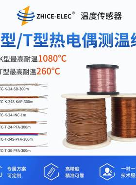 ZHICE-ELEC/智测电子热电偶k型T型温度测温线传感线可定制米数