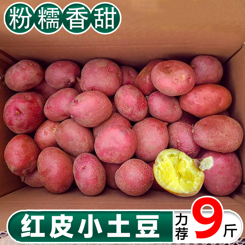 红皮土豆整箱5斤粉糯香脆