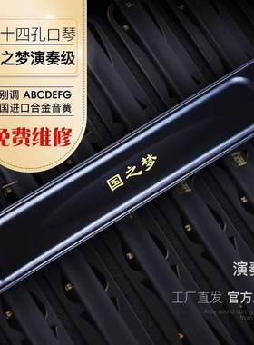 国光口琴24孔国之梦演奏级口琴复音C调 F调 A调 D调 B调 28孔重音