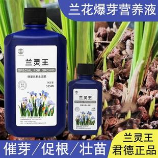 兰灵王兰花专用有机营养液肥料EM菌君子兰蝴蝶兰建兰墨兰石斛生根