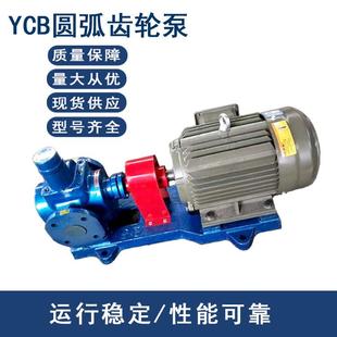 0.6循环泵柴油泵机油泵润滑泵增压泵输送泵 YCB圆弧齿轮泵YCB8