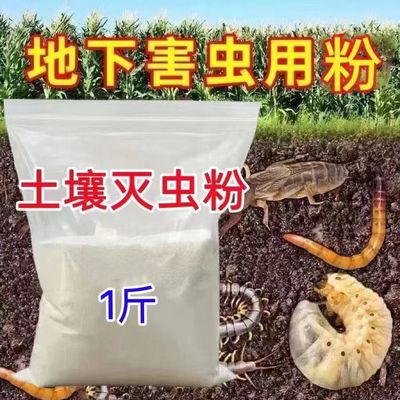 百虫土壤灭虫粉地下害虫蛴螬根蛆蝼蛄潮虫蜈蚣爬虫菜地通用颗粒剂