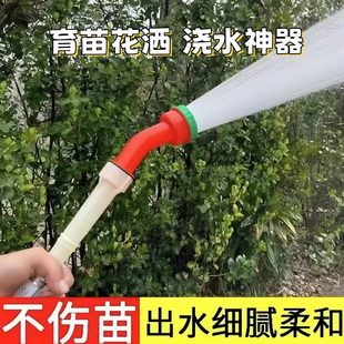 1雾化水菜式 浇花水枪携浇花 4花洒浇寸喷头6分苗育地可浇农用浇园