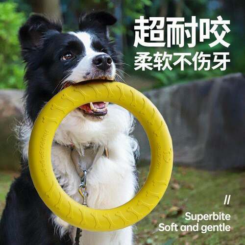 马犬金毛拉布拉多泰迪互动圆环训狗拉环宠物耐咬狗狗玩具