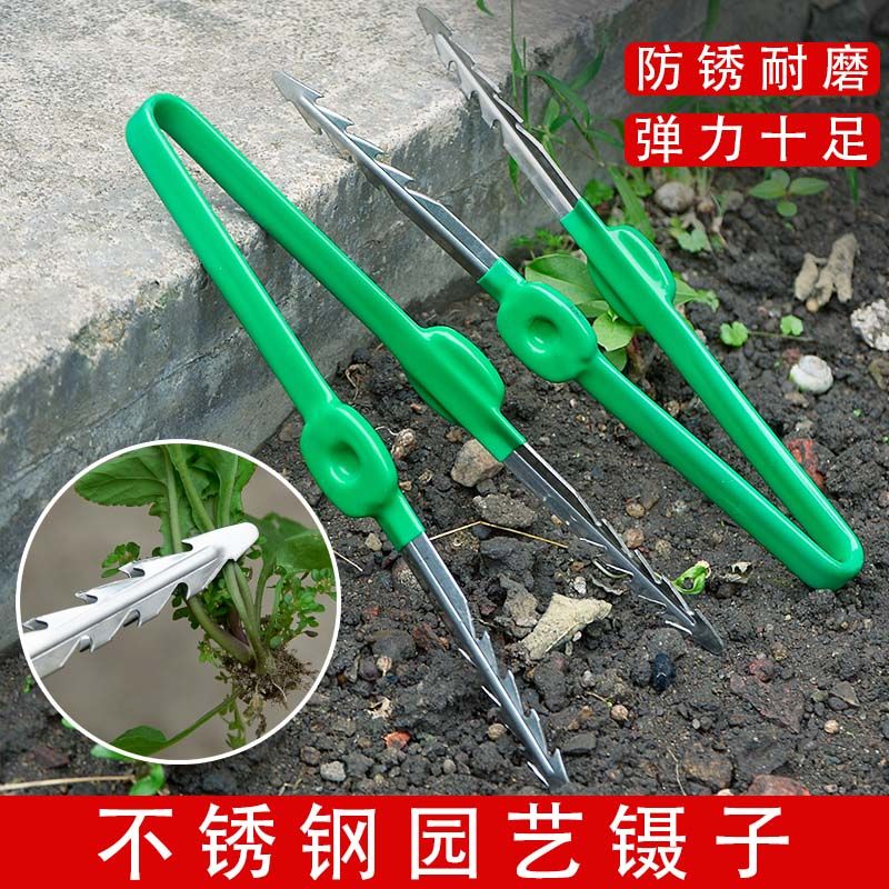 家用园艺不锈钢镊子夹种子移植拾物夹子拔草拔苗种花取物工具