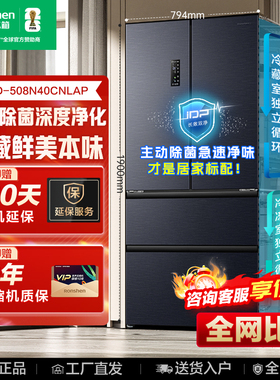 Ronshen/容声 BCD-526WD1MPA双净双系统法式多门家用大容量冰箱