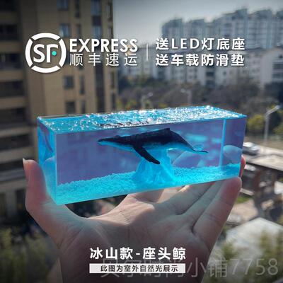 新款ALL BLUE脂蓝鲸鱼鲸鲨胶工艺汽滴车摆车载件饰品创意生日礼树