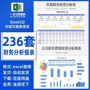 公司财务数据分析报表excel表格模版 度报表 财务看板利润统计季