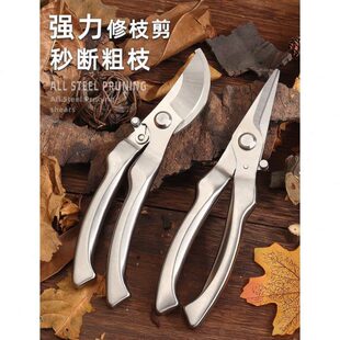 果树园林摘果剪花卉专用园艺剪刀修树枝 剪家用修枝剪省力德国新款