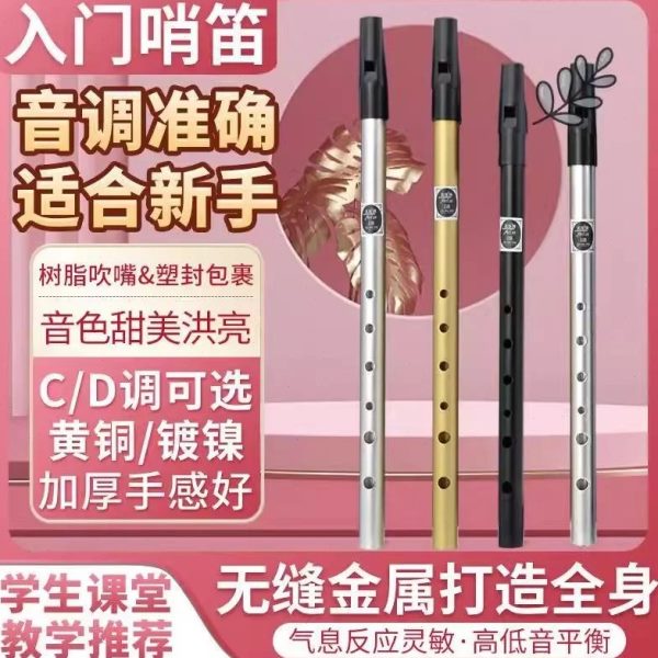 竖笛调D笛子金属爱尔兰哨乐器小初学者专业级高音质六新款c调笛孔