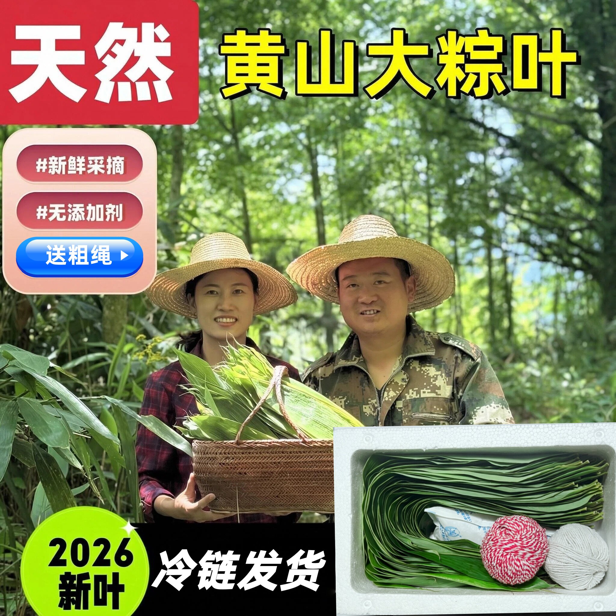 2026黄山新鲜粽叶野生箬竹叶端午包粽子叶子新鲜采摘保鲜发货
