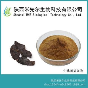 爆款生地黄提取物10:1地黄提取物生地黄萃取原料粉