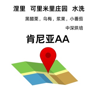 水洗精品肯尼亚AA涅里可里米里庄园中深烘焙黄糖乌梅咖啡豆227g