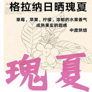日晒瑰夏埃塞俄比亚格拉纳庄园精品果香花香手冲咖啡豆袋装 227g