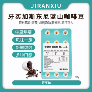 牙买加斯东尼蓝山一号中烘焙馥郁 花果香咖啡豆227g