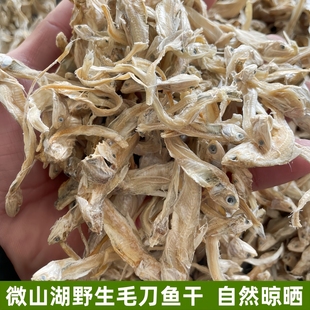 干巴鱼微山湖农家晾晒淡水毛刀鱼干毛花鱼凤尾鱼干靠鱼无盐小鱼干