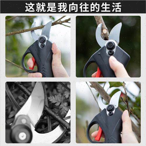 新品电动修枝剪果树充电式林园高枝锂电L电剪刀剪刀树枝剪子神器