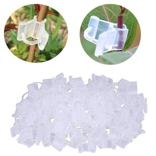 极速100pcs Garden Graftitng Clips Plastic Transparent Vegeta