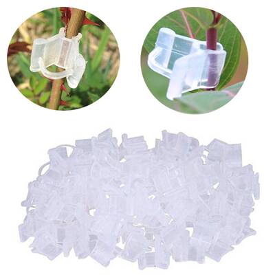 极速100pcs Garden Graftitng Clips Plastic Transparent Vegeta