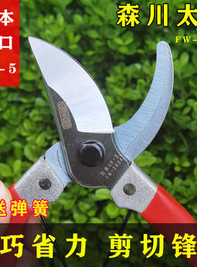 极速花姬SK5修枝剪园林剪刀工具修枝剪园艺剪果树U剪手枝剪红色手
