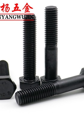 极速M20M22M24M27M30黑色10.9级外六角螺丝螺栓GB578T2/GB5783全