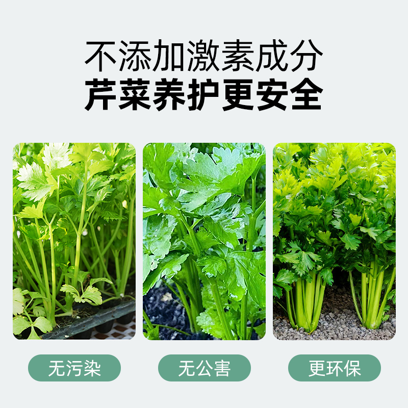 极速芹菜专用肥西芹专用肥叶面肥盆栽F地栽有机肥猛增粗嫩绿氮肥