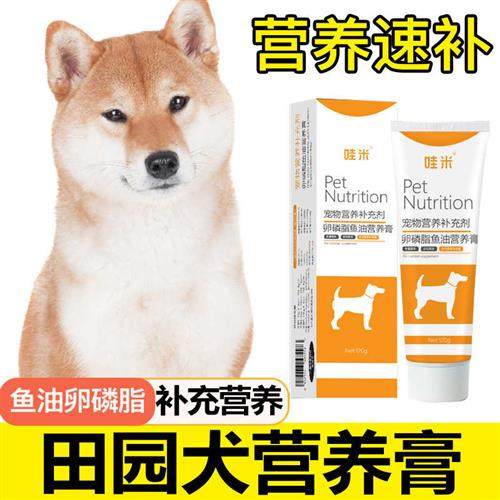 极速田园犬土狗狗狗营养膏u补充剂宠物成犬幼犬老年犬营养补充维,宠物/宠物食品及用品,猫狗通用营养膏,淘宝优惠券,粉丝福利购,淘宝优惠卷