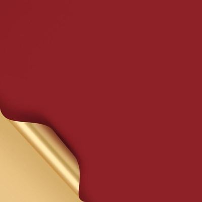 极速Oya paper,bouquet wrapp paper,twocolor flPoral paper diy