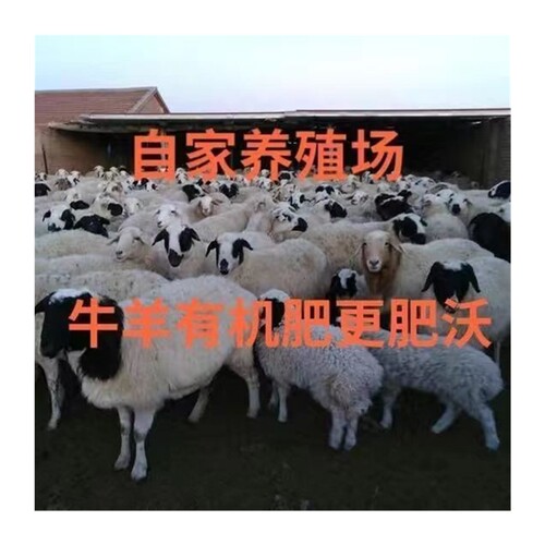 极速60斤纯羊粪有机肥料u种菜养花5斤通用发酵鸡粪有机肥果园营养