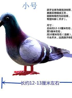 新品小鸽子灰鸽子l仿真鸽子广场鸽摆件野鸽子斑鸠室内园林装饰品