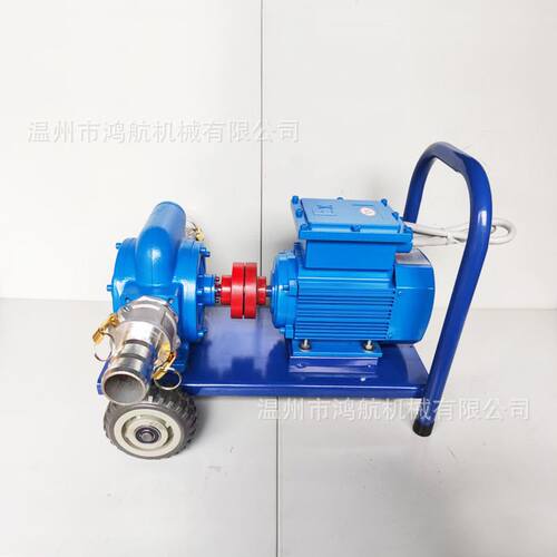 极速12V24V电动大流量防爆自吸抽油泵滑片泵柴汽油加油Z机输油泵