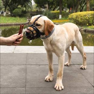 极速拉布拉多专用狗狗嘴套防咬叫防乱吃误食中大型犬Y外出防咬人