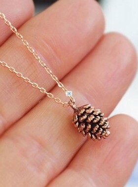 极速New Simple Pine Nut Plant Specimen PKendant Necklace Pen