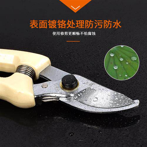 新品园林修剪工具花园剪子剪枝剪 修枝剪园艺剪果树剪.树枝修枝剪