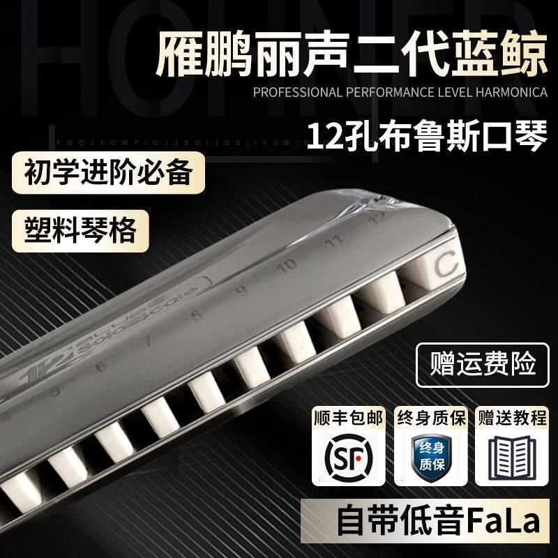 yinpenglisheng/雁鹏丽声12孔新款二代蓝鲸口琴塑料格低音有FALA