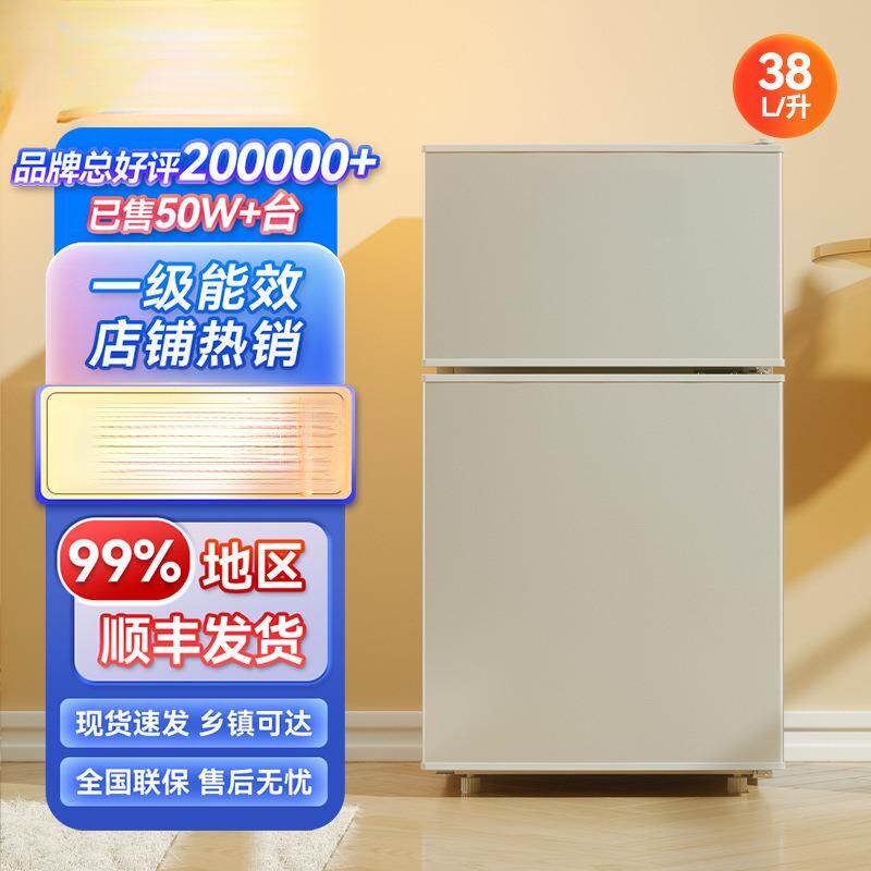 小冰箱一级节能家用省电小型租房宿舍用办公室迷你双门电冰箱