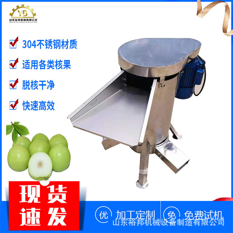 0.5吨大型不锈钢水果去核机