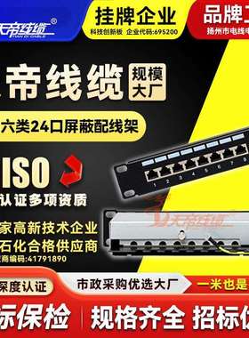 直销天帝超五类24口屏蔽配线架千兆FTP网络理线箱铁壳