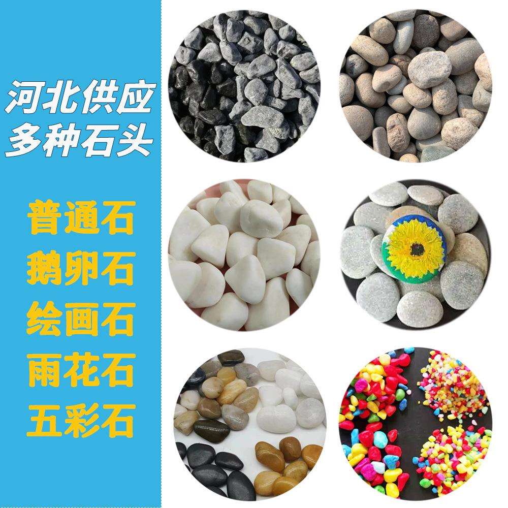 供应各种鹅卵石子绘画石铺路雨花石天然鹅卵石五彩石头