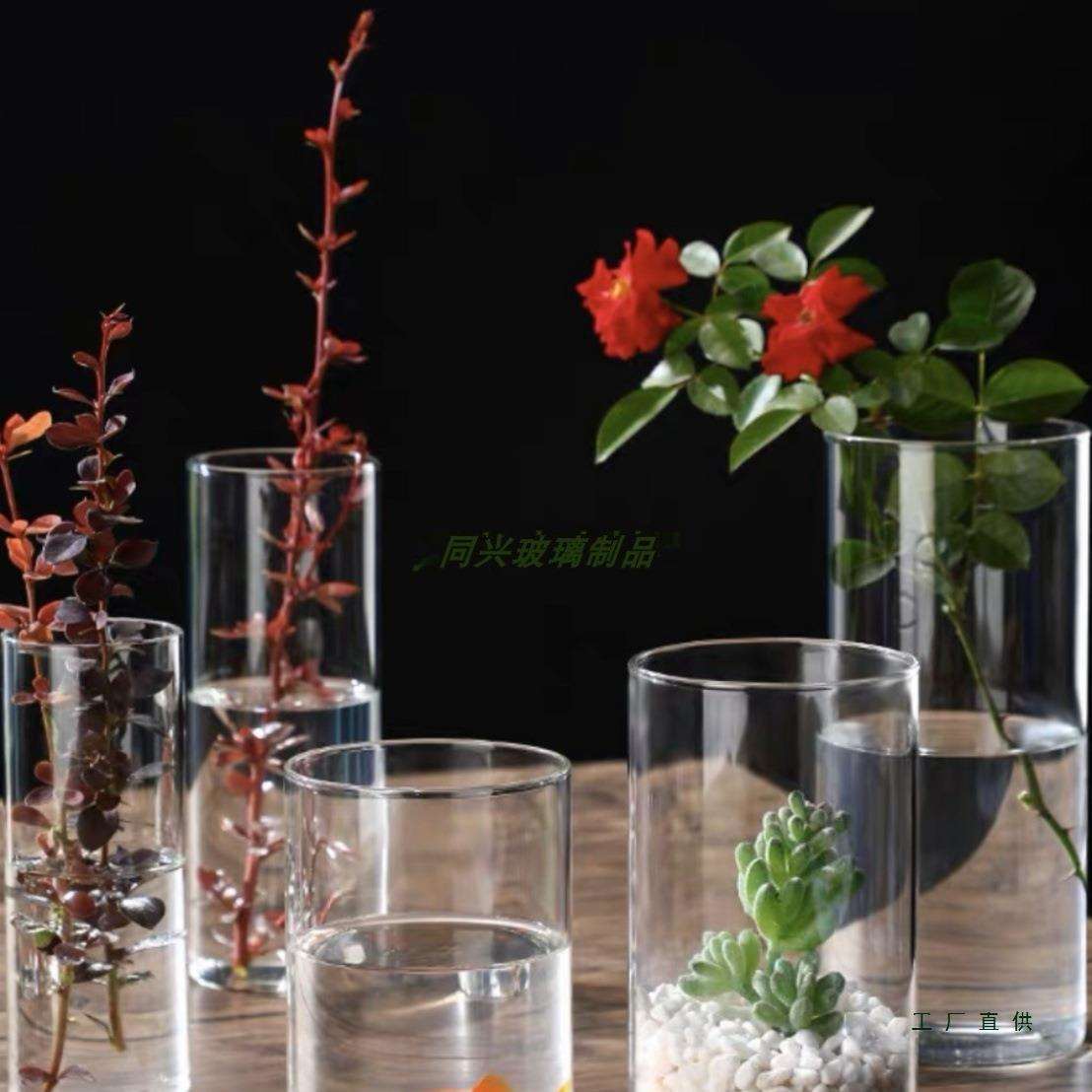 高硼硅玻璃苔藓生态瓶水培植物瓶室内桌面小花盆直筒艺术插花花瓶