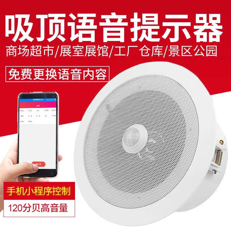 红外人体感应语音提示器防盗报警器商店地铁火车店门吸顶大喇叭