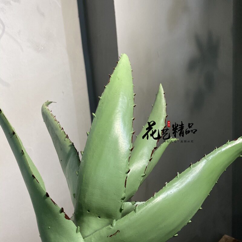 仿真芦荟盆栽植物 绿植多肉龙舌兰热带装饰摆件拍摄摆放花卉道具